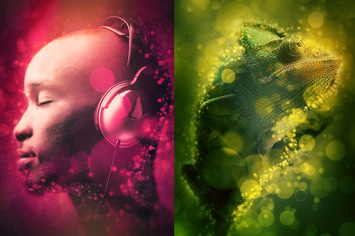Circles Photoshop Action