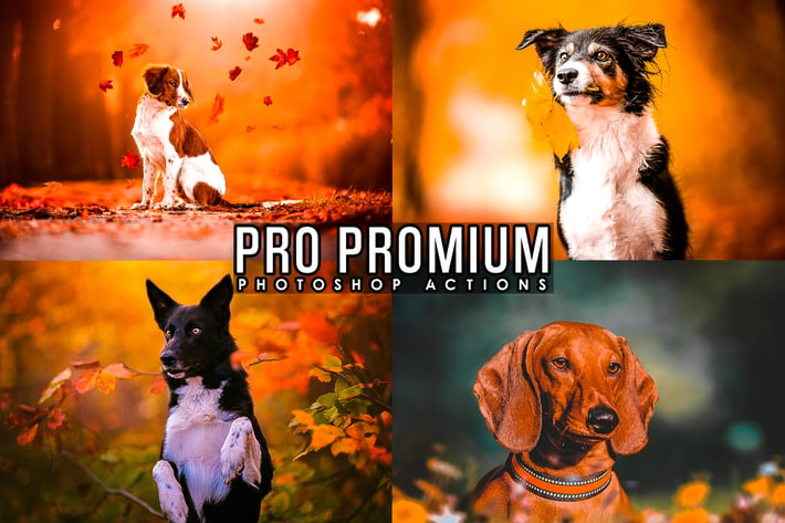 HDR Animal Photoshop Actions 