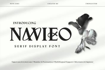 Navieo - Serif Display Font