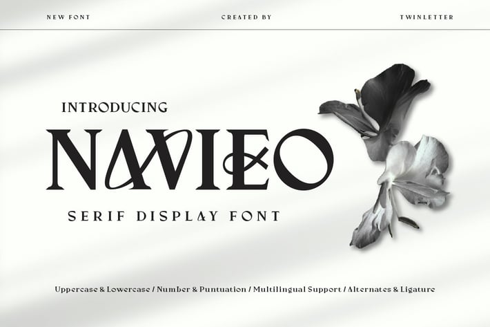Navieo - Serif Display Font