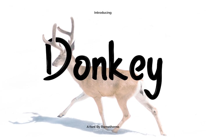 Donkey - Display Font