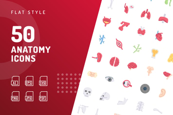 Anatomy Flat Icons