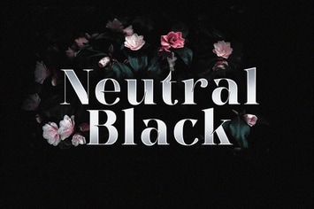 Neutral Black