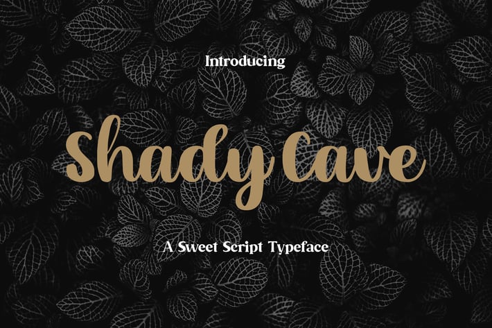 Shady Cave - Script Font