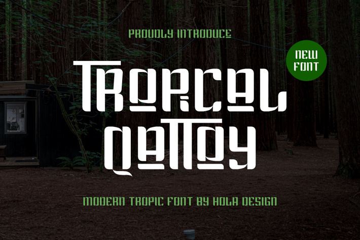 Tropical Qattoy - Sans Serif & Modern Tropic