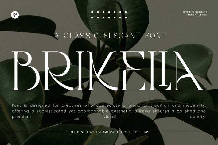 Modern Minimalist Fashionable Font - Brikelia