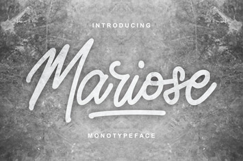 Mariose | Monotypeface Script Font