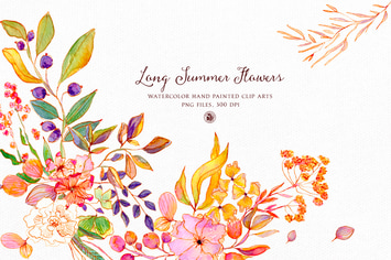 Long Summer Flowers - watercolor set