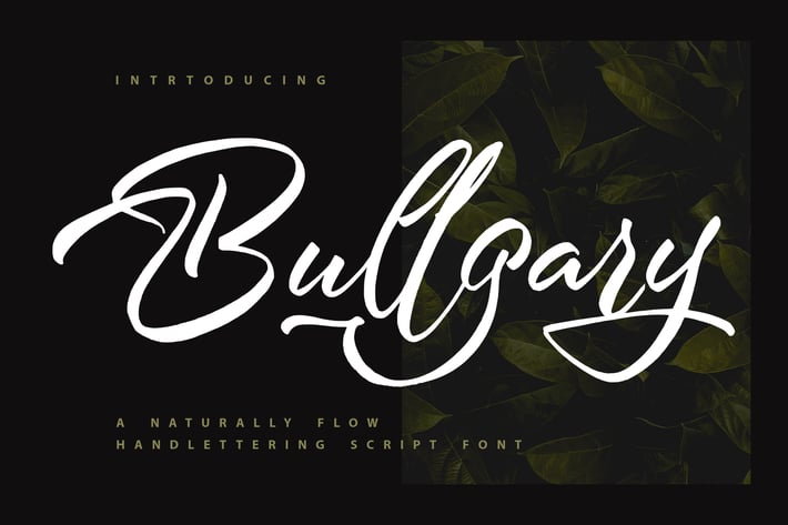 Bullgary | Naturally Handlettering Script Font