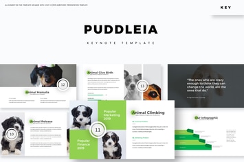 Puddleia - Keynote Template