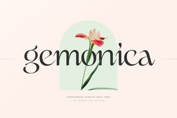 gemonica - experimental serif font