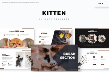 Kitten - Keynote Template