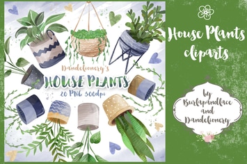 House Plant cliparts