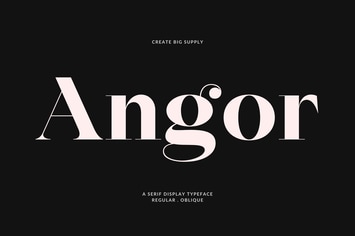 Modern Elegant Display Serif Typeface for Fashion