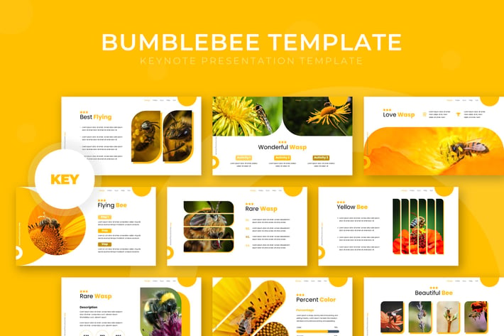 Bumblebee - Keynote Template