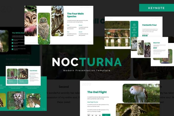 Nocturna - Keynote Template