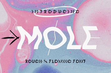MOLE