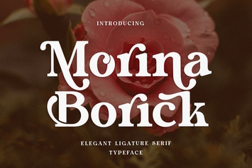 Morina Borick Elegant Ligature Serif