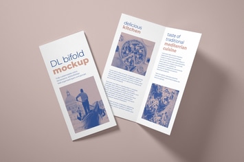 DL Bifold Brochure Mockup