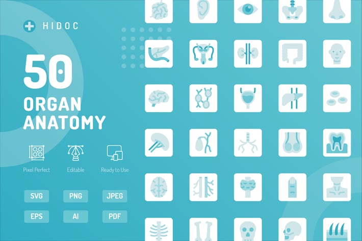 Hidoc - Organ Anatomy Icons