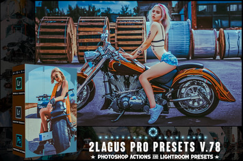 PRO Presets - V 78 - Photoshop & Lightroom