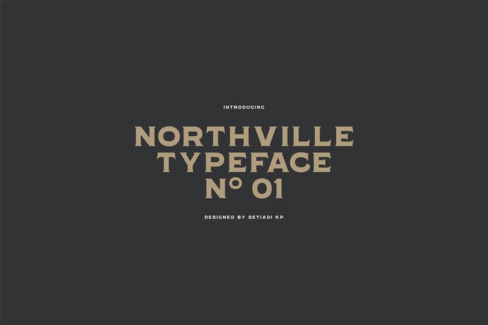 Northville 01