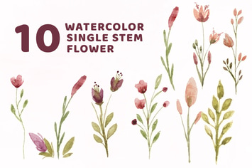 9 Watercolor Single Stem Flower Illustration