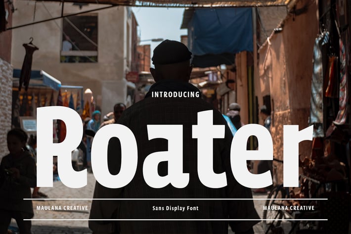 Roater Display Sans Font
