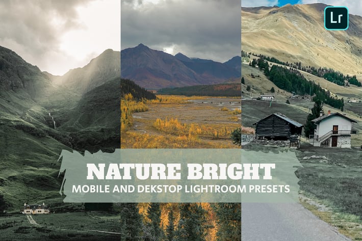 Nature Bright Lightroom Presets Dekstop and Mobile