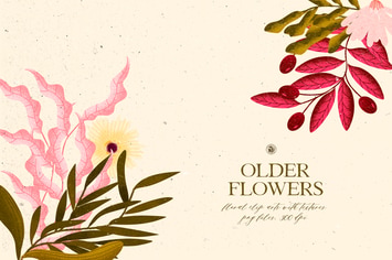 Older Flowers