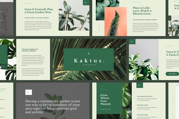 Kaktus - Elegant Keynote Template