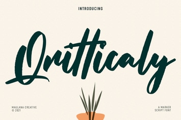 Qritticaly Marker Script Font