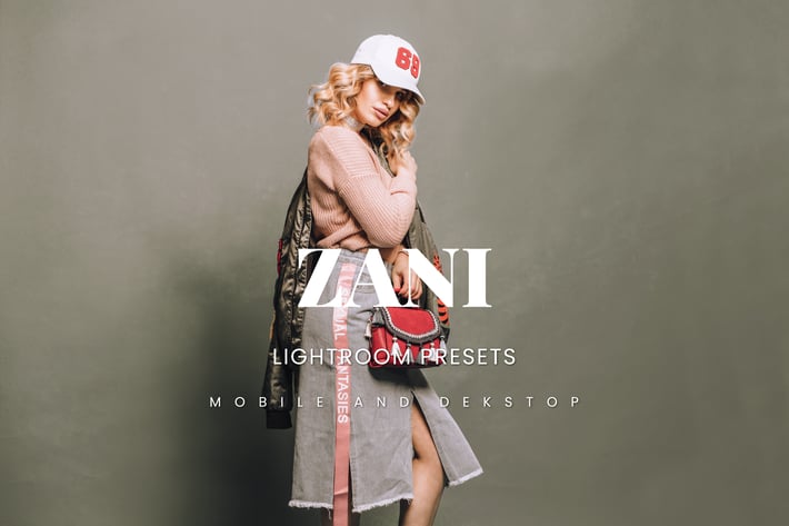 Zani Lightroom Presets Dekstop and Mobile
