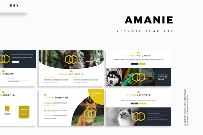 Amanie - Keynote Template