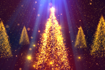 Christmas Glory