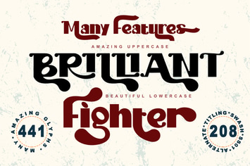 Brilliant Fighter