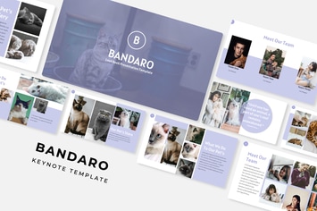 Bandaro - Keynote Template
