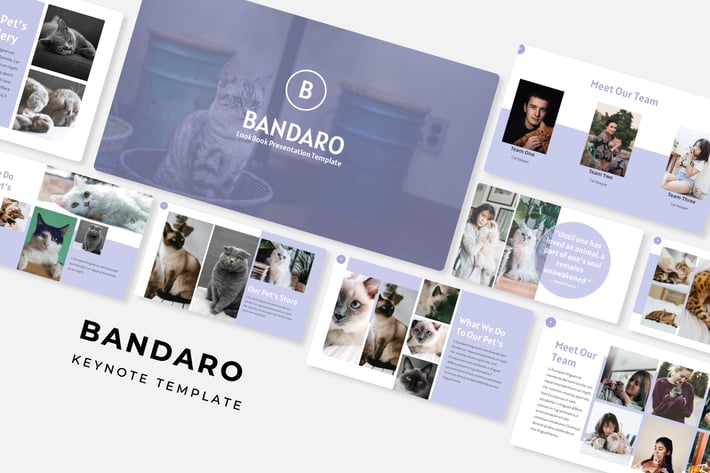 Bandaro - Keynote Template
