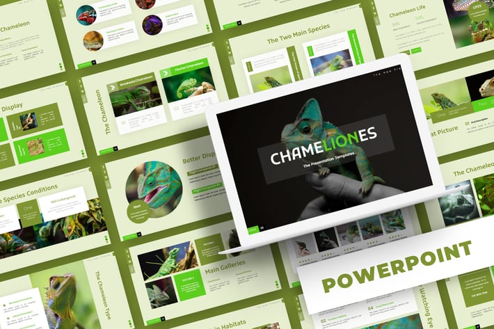 Chameliones - Powerpoint Template