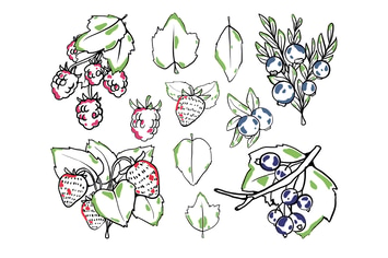 Berries Doodles