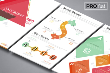 Pro Flat Infographic Brochure 10