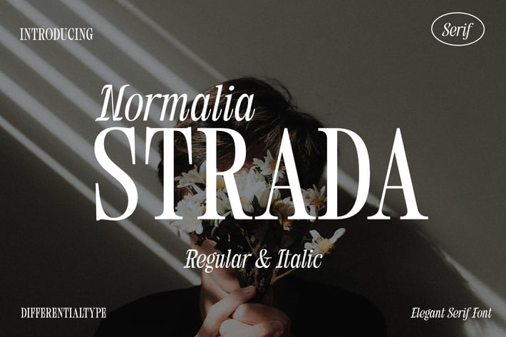 Normalia Strada - Elegant Serif Font