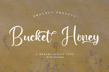 Bucket Honey Modern Script Font
