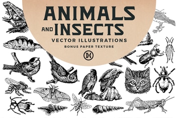 Animals and Insects Vectors