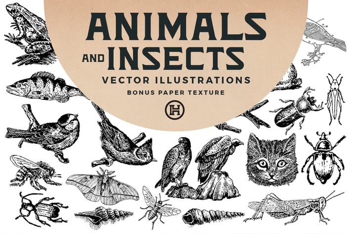 Animals and Insects Vectors