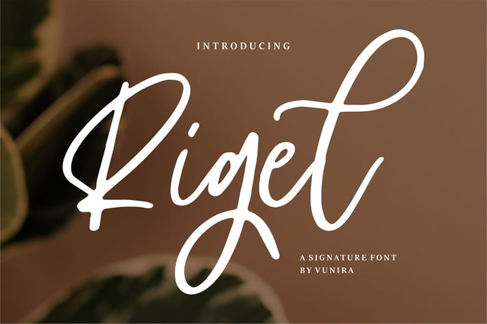Rigel | A Signature Font