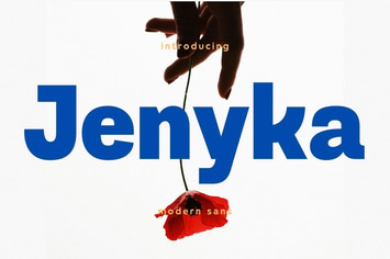 Jenyka-Modern Sans