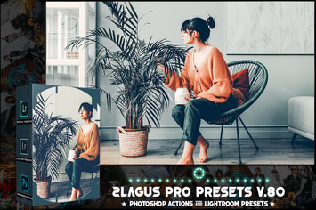  PRO Presets - V 80 - Photoshop & Lightroom