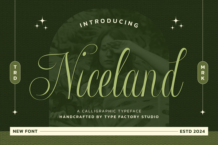 Niceland - Calligraphic Typeface