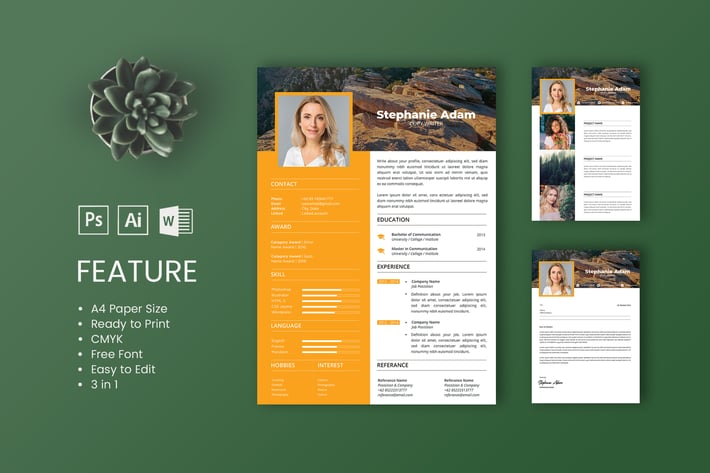 Professional CV And Resume Template Adam
